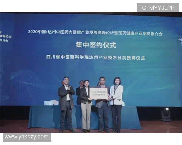 厄德高在国际舞台上的崛起与影响力分析及未来发展前景探讨